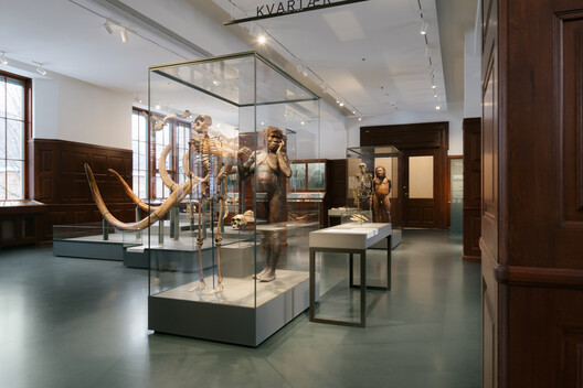 What Does a Museum Need? Inside the Exhibition Architecture of the Natural History Museum Oslo What Does a Museum Need? Inside the Exhibition Architecture of the Natural History Museum Oslo - Image 5 of 10