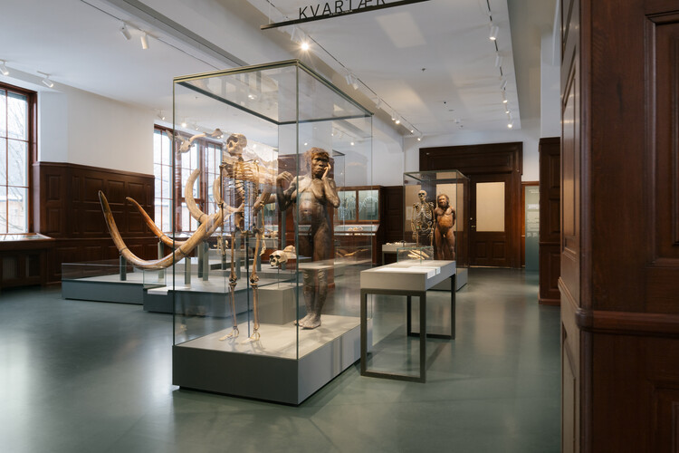 What Does a Museum Need? Inside the Exhibition Architecture of the Natural History Museum Oslo - Image 5 of 10