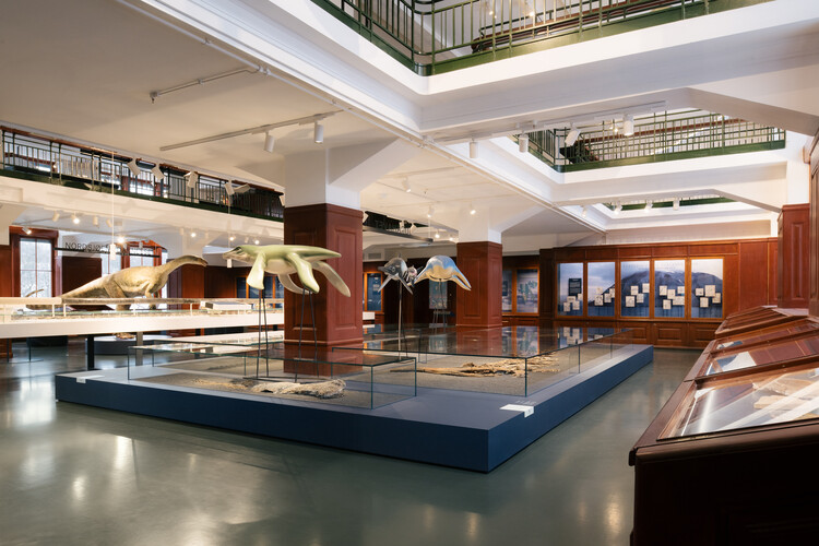 What Does a Museum Need? Inside the Exhibition Architecture of the Natural History Museum Oslo - Image 4 of 10