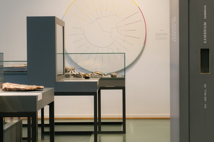 What Does a Museum Need? Inside the Exhibition Architecture of the Natural History Museum Oslo - Image 6 of 10
