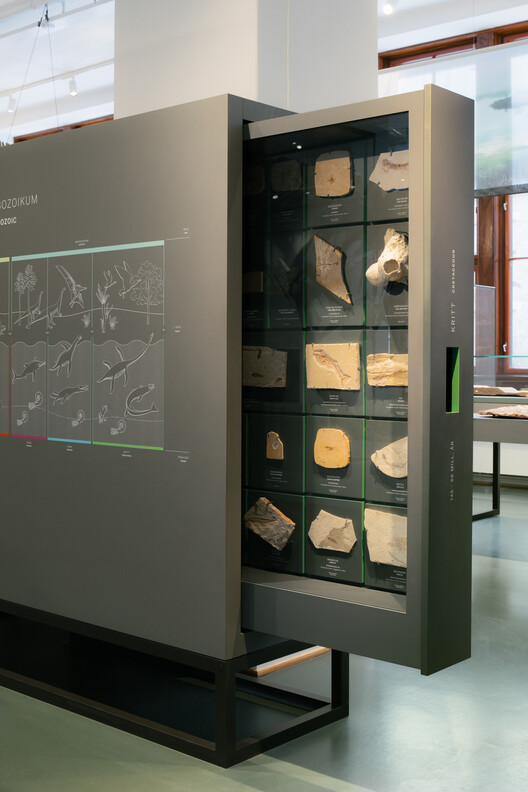 What Does a Museum Need? Inside the Exhibition Architecture of the Natural History Museum Oslo - Image 7 of 10