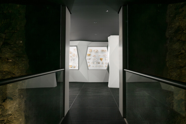 What Does a Museum Need? Inside the Exhibition Architecture of the Natural History Museum Oslo - Image 2 of 10
