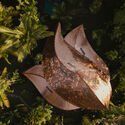 Hideout Leaf Villa / Pablo Luna Studio - Exterior Photography, Hospitality Architecture