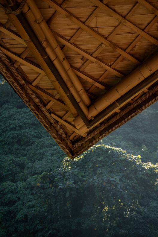 Lotus Shala Wellness Facility / Pablo Luna Studio - Image 10 of 15