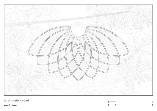 Lotus Shala Wellness Facility / Pablo Luna Studio - Image 12 of 15