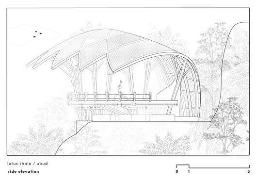 Lotus Shala Wellness Facility / Pablo Luna Studio - Image 15 of 15