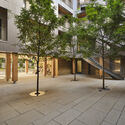 Frame 122 / Brent Buck Architects - Apartments