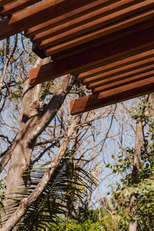 Linea House / Instinto Estudio Linea House / Instinto Estudio - Image 9 of 17