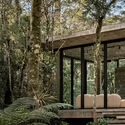 Casa de Vidro / Charlene Koetz Arquitetura - Imagen 3 de 22