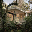 Casa de Vidro / Charlene Koetz Arquitetura - Fotografía exterior, Bosque