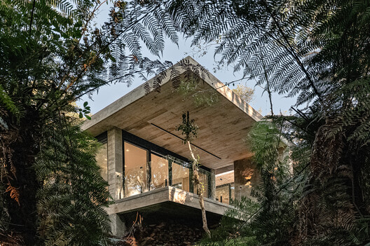 Glass House / Charlene Koetz Arquitetura - Exterior Photography, Wood