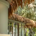  A Leaf Canopy by the Sea / Studio 10 - Interior Photography, Retail Interiors