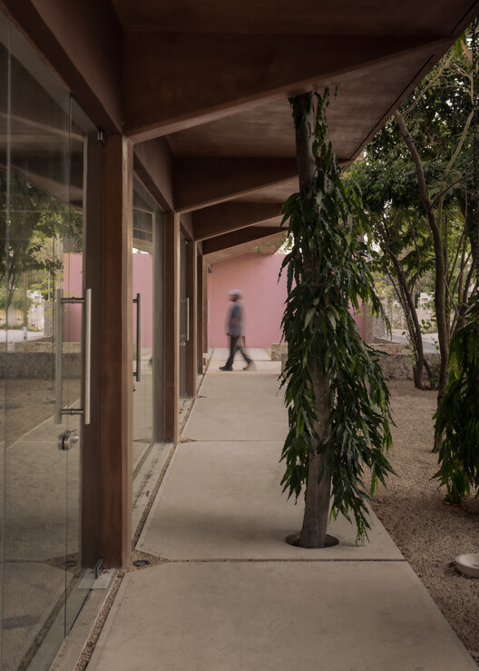 Esquina Nativa Center / TACO taller de arquitectura contextual Esquina Nativa Center / TACO taller de arquitectura contextual - Interior Photography, Wood, Concrete, Column