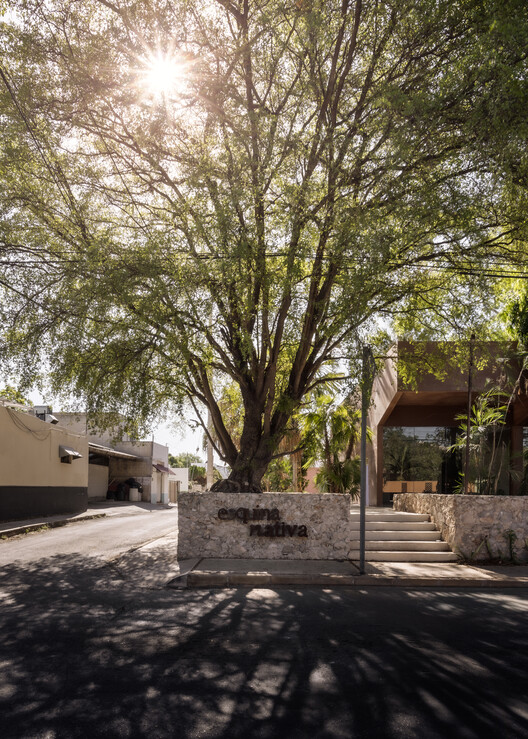 Esquina Nativa Center / TACO taller de arquitectura contextual Esquina Nativa Center / TACO taller de arquitectura contextual - Image 12 of 29