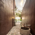 Esquina Nativa Center / TACO taller de arquitectura contextual - Interior Photography, Store, Bathroom