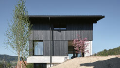 House on Concrete Walls / dolmus Architekten