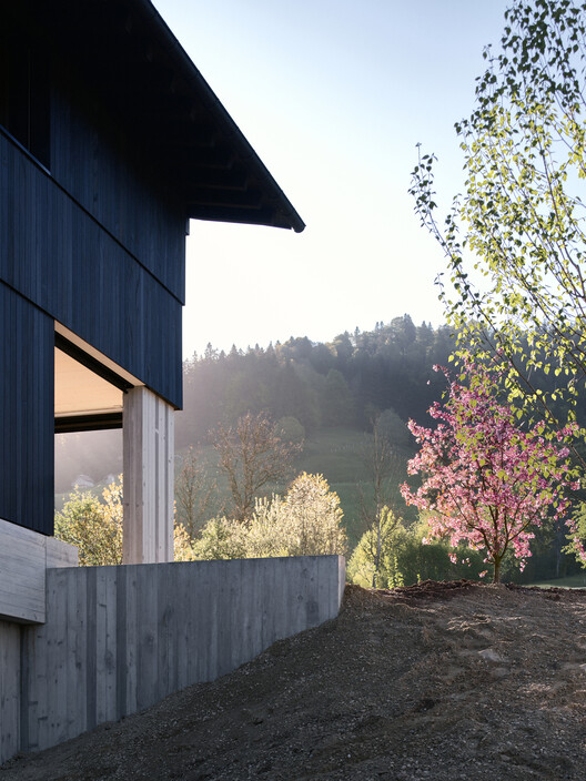 House on Concrete Walls / dolmus Architekten House on Concrete Walls / dolmus Architekten - Image 2 of 29