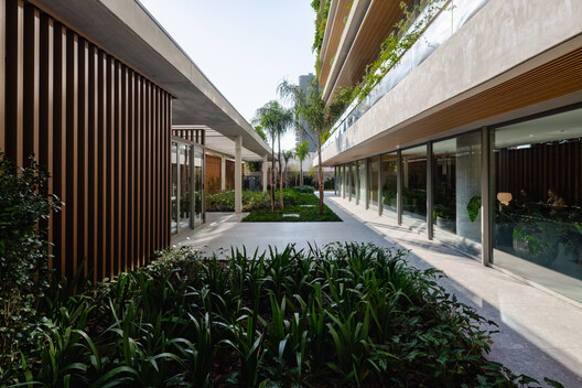 Tomaz Building / IDEIA1 Tomaz Building / IDEIA1 - Exterior Photography, Garden, Courtyard