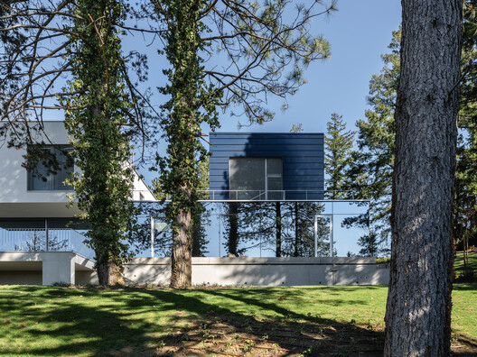 Curious House / FORVM Curious House / FORVM - Fotografía exterior