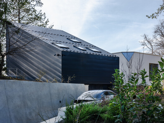 Curious House / FORVM Curious House / FORVM - Fotografía exterior