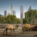 Pelli Clarke & Partners' City Tower One and Dubai Cityscape Under the Lens of Ahmad Alnaji - Imagen 4 de 4