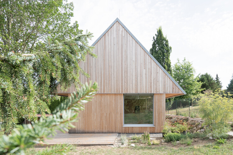 House among the trees / Studio COSMO - Exterior Photography, Houses