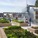 Green Space and the Price of a Home on the US West Coast - 3 的图像 4