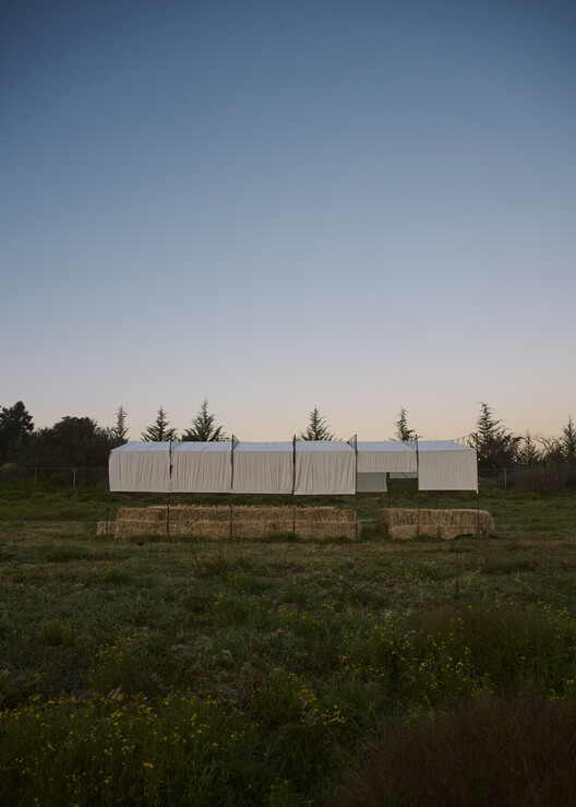 Cempasúchil Pavilion / COLAR Colectivo de Arquitectura Cempasúchil Pavilion / COLAR Colectivo de Arquitectura - Image 2 of 18