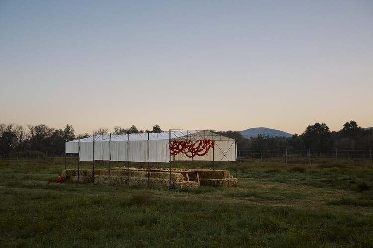 Cempasúchil Pavilion / COLAR Colectivo de Arquitectura