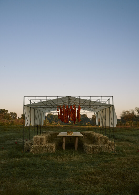 Cempasúchil Pavilion / COLAR Colectivo de Arquitectura - Fotografía exterior