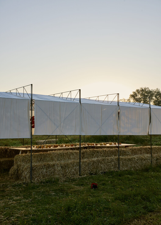Cempasúchil Pavilion / COLAR Colectivo de Arquitectura Cempasúchil Pavilion / COLAR Colectivo de Arquitectura - Image 4 of 18