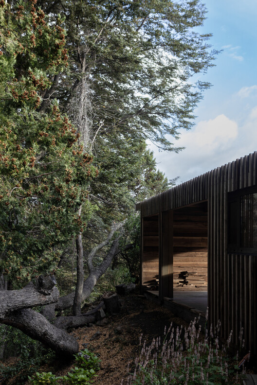 El Trebol House / Engelman Estudio - Image 19 of 24