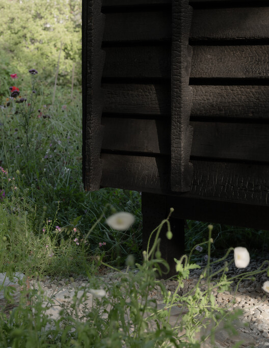 The Yakisugi Cabin / Alki Architecture + Design Studio - Image 10 of 19
