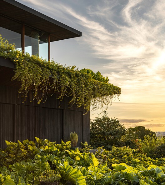 Vista House / Studio Gontijo Arquitetura Vista House / Studio Gontijo Arquitetura - Image 25 of 30