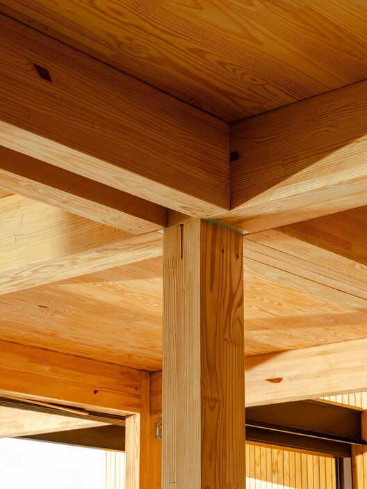 Rouxinol House / Sergio Sampaio Archi + Tectônica Rouxinol House / Sergio Sampaio Archi + Tectônica - Image 32 of 39