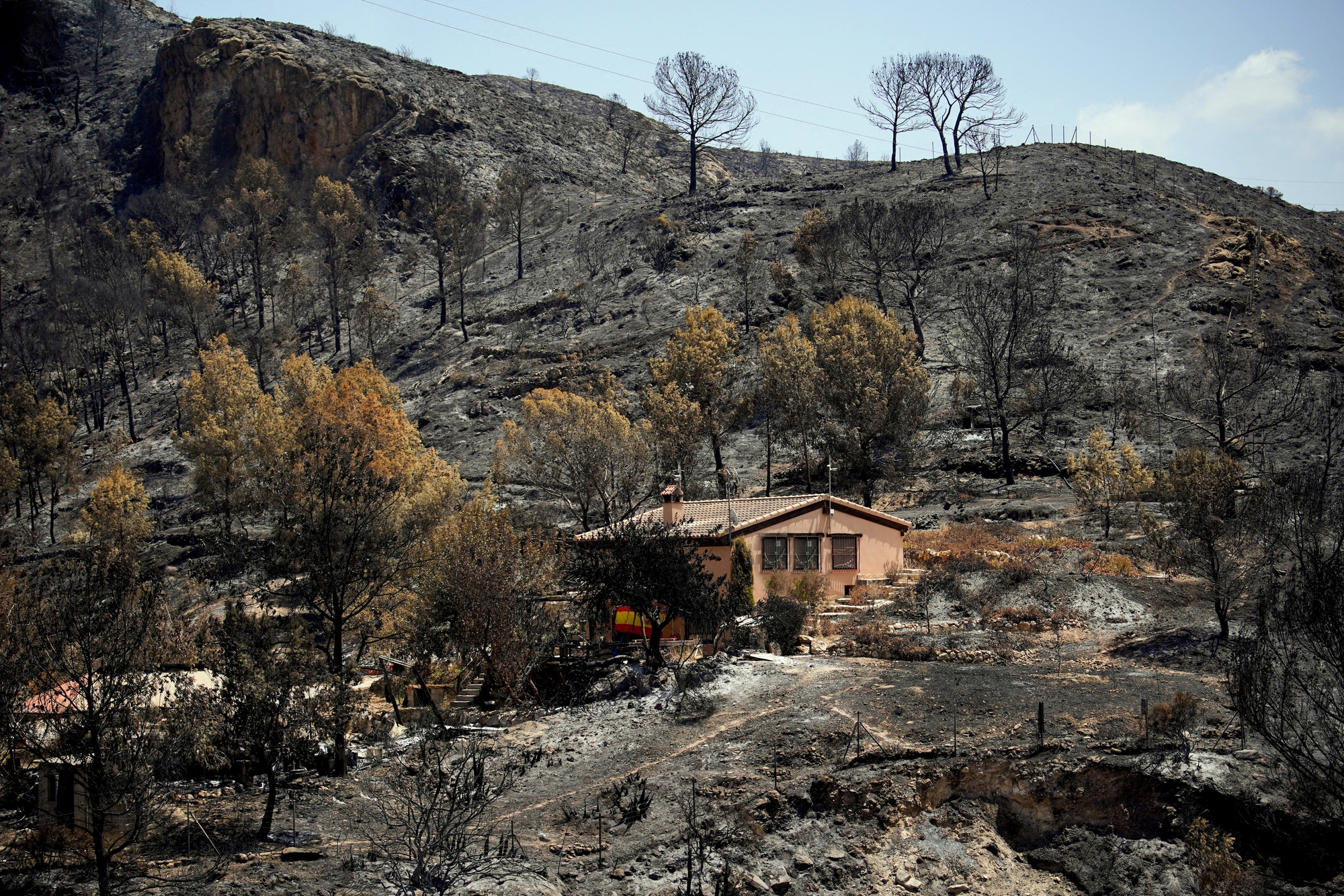 Wildfires in Algeria Highlight the Scale of the Global Fire Landscape