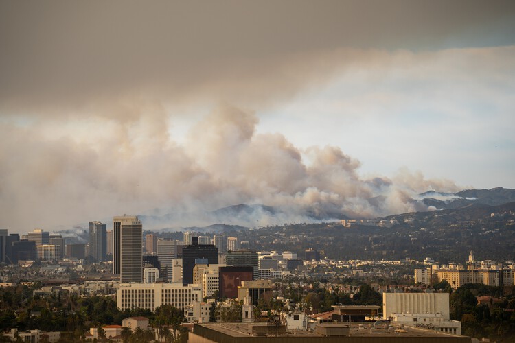 Los incendios forestales en Argelia evidencian la magnitud del panorama global de incendios - Imagen 2 de 5