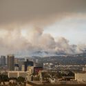 Wildfires in Algeria Highlight the Scale of the Global Fire Landscape