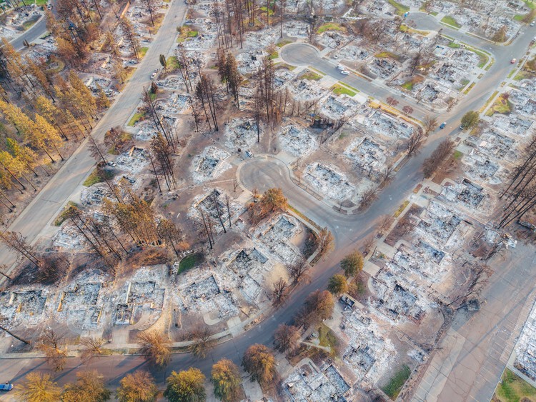 Wildfires in Algeria Highlight the Scale of the Global Fire Landscape