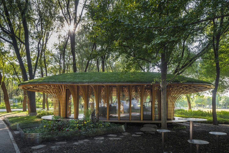 Floristería West Garden / LUO studio - Fotografía exterior, Comunidad, Jardín
