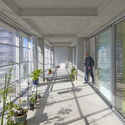 One House, Many Climates: When Greenhouse Design Enters the Home - Imagem 1 de 4