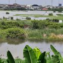 When the Water Comes: How Lagos Negotiates with Its Returning Floods - Image 1 of 4