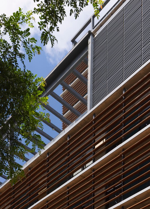 Bernoulli College Vale do Sereno / BCMF Arquitetos - Image 31 of 77