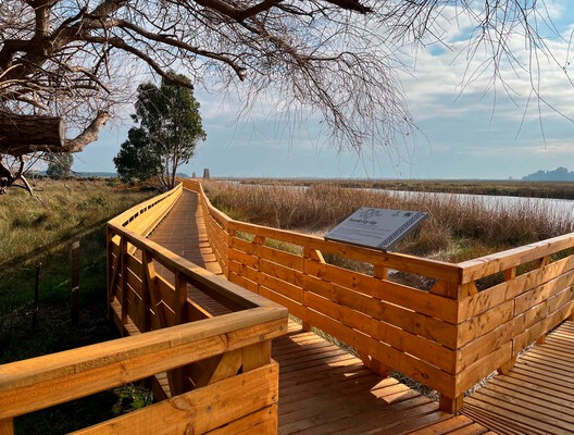 Kay Kay de Monkul Lookout Walkway / Gonzalo Verdugo + Carlos Seguel Arquitectos - Image 3 of 12