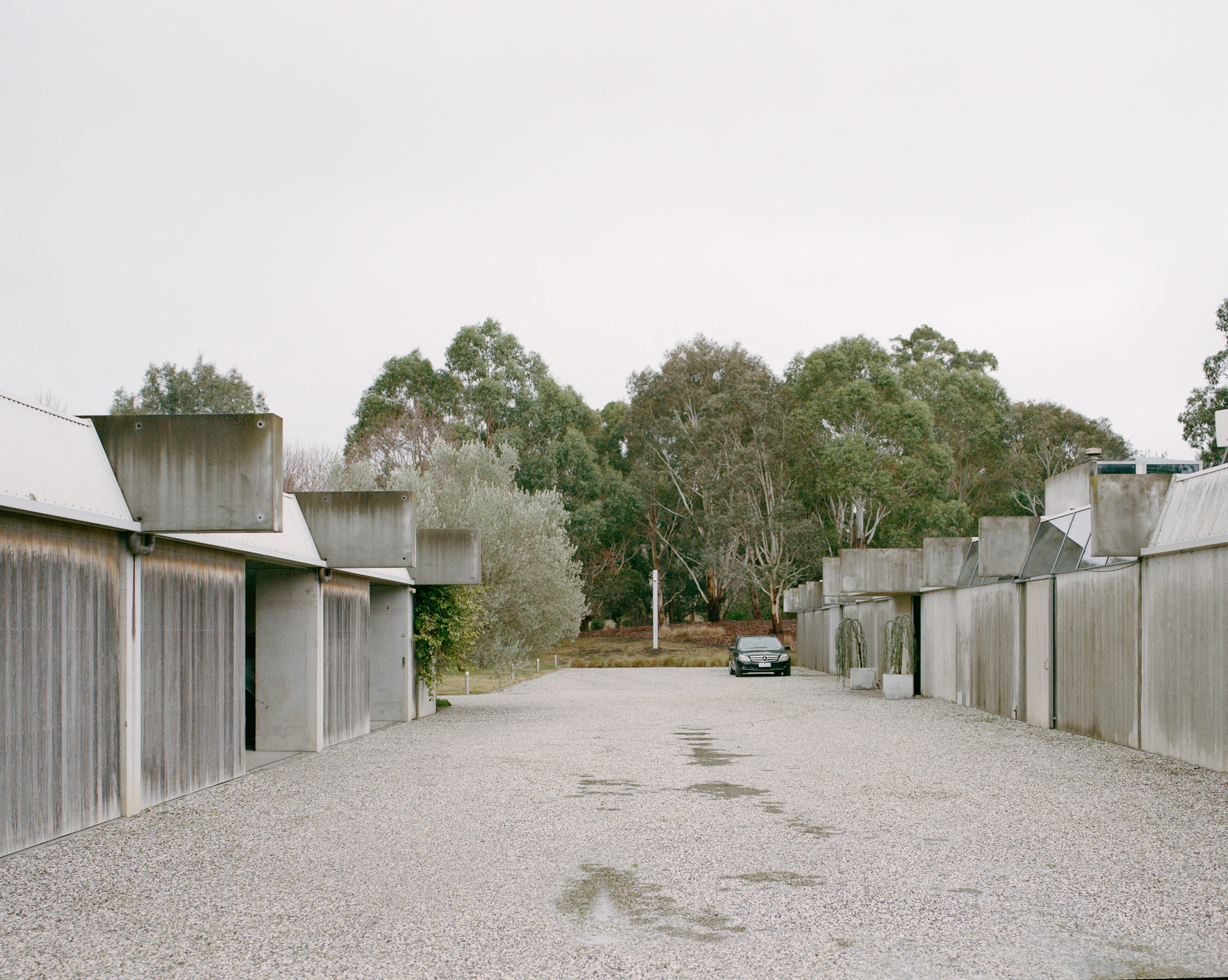Gallery of This is Lumeah / Pepper & Well - 7