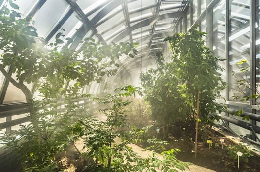 Landscape as Choreography: Architecture in the Contemporary Botanical Garden - Image 28 of 103