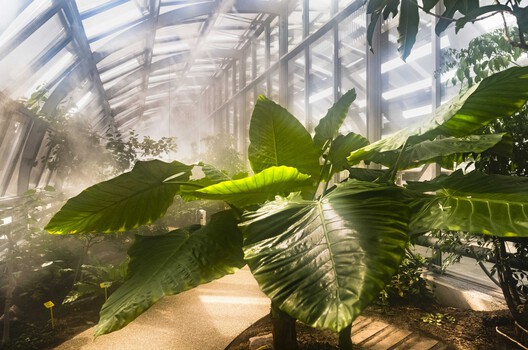 Landscape as Choreography: Architecture in the Contemporary Botanical Garden - Image 74 of 103