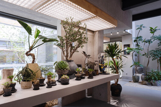 Landscape as Choreography: Architecture in the Contemporary Botanical Garden - Image 66 of 103