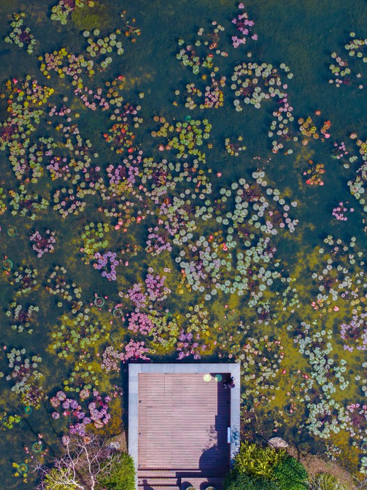 Landscape as Choreography: Architecture in the Contemporary Botanical Garden - Image 71 of 103