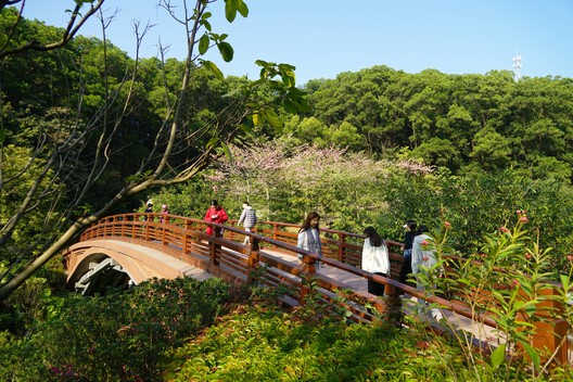 Landscape as Choreography: Architecture in the Contemporary Botanical Garden - Image 101 of 103